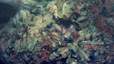 Vivid Macro Wallpaper World Wallpaper 4K 3144x1768 Macro, Exploration, Sci, Fi, City, Desktop, Gray, Ultrawide, QHD