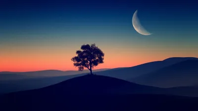 Pin Nature Dark Black/Dark Wallpaper 4K 3840x2160 Gray, Orange