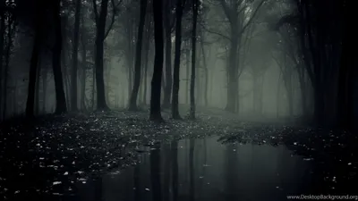 Crisp Dark Wallpaper Black/Dark Wallpaper 4K 3840x2160