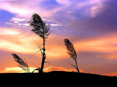 Anime Wallpaper 1598x1198 Abstract Wallpaper 4K 1598x1198 Landscape