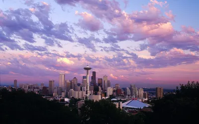 Crisp Seattle Wallpaper Wallpaper 4K, Nature category