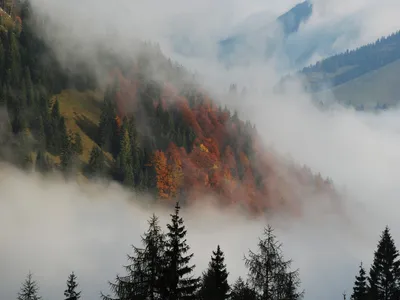Moody Mountain Wallpaper Wallpaper 4K, Nature category