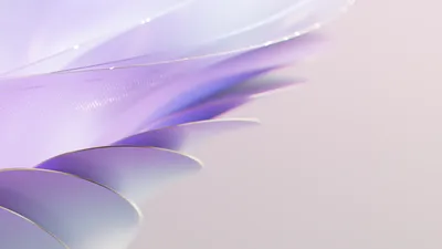 Purple White Gallery Abstract Wallpaper 4K 1920x1080 White