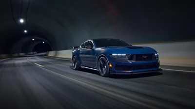Misty Mustang Wallpaper Animals Wallpaper 4K 5120x2880 Gray