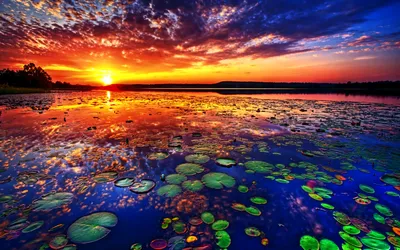 Hdr Serene Lake Sunset Colorful Nature Wallpaper 4K 1920x1200 Hdr, Image, Of, A, Serene, Lake, At, Sunset, Colorful, Skies, Lily, Pads, Brown, Yellow, Ultrawide, Full HD