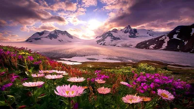 Mountain Wildflowers Cave Nature Wallpaper 4K 1920x1080 White, Gray