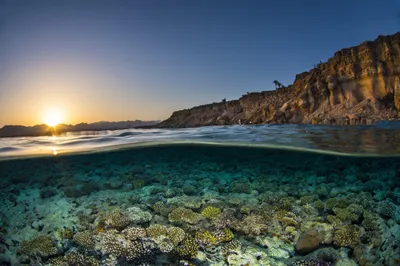 Ocean Nature Nature Wallpaper 4K 4000x2670 Brown