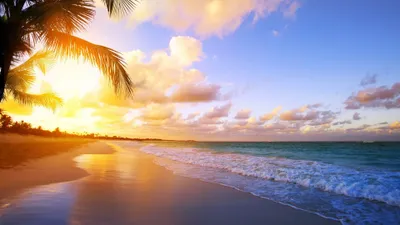 Ocean Sunrise Nature Nature Wallpaper 4K 3840x2160 White