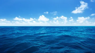 Ocean Images Nature Nature Wallpaper 4K 1920x1080 Green, Pink