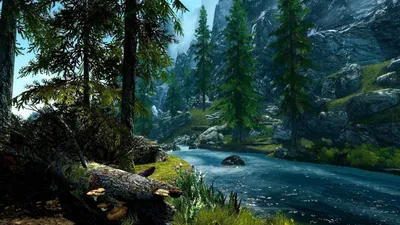 Crisp Forest Wallpaper Nature Wallpaper 4K 1920x1080 Brown, White