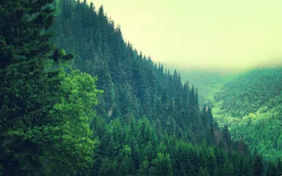 Bold Mountain Wallpaper Nature Wallpaper 4K 2560x1600 White