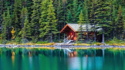 Forest Cabin Cave Nature Wallpaper 4K 3840x2160 Gray, Brown