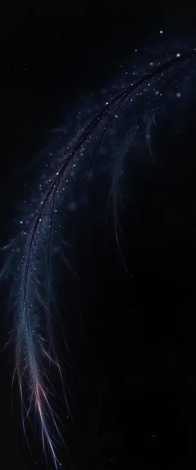 Dark Wallpaperbat Black-dark Wallpaper 4K, Black/Dark category