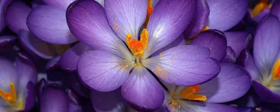 Bright Nature Wallpaper Nature Wallpaper 4K 2560x1024 Gray