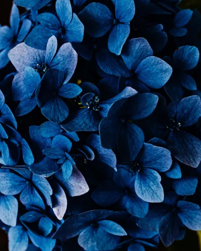 Vibrant Blue Wallpaper Technology Wallpaper 4K 1280x1600 Brown, Red