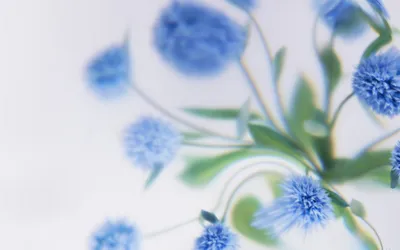 Blue Flowers Soft Focus Nature Wallpaper 4K 2880x1800 White