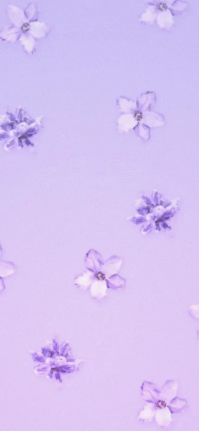 Lavender Cave Aesthetic Technology Wallpaper 4K 1183x2560 White