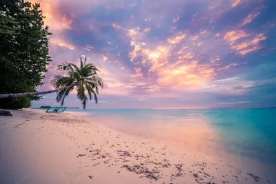 Tropical Beach Sunset Images Nature Wallpaper 4K 1600x1067 Gray