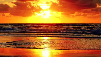 Misty Beach Wallpaper Nature Wallpaper 4K 1920x1080 Yellow, Pink