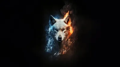 Digital Art Animal Technology Wallpaper 4K 919x517 Gray, Black