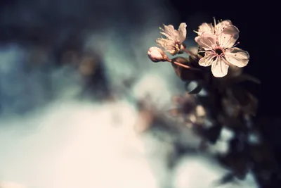 Anime Wallpaper 3006x2006 Abstract Wallpaper 4K 3006x2006 Landscape, QHD