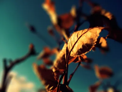 Anime Wallpaper 1598x1198 Abstract Wallpaper 4K 1598x1198 Landscape