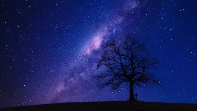 Person Beside Bare Tree Space Wallpaper 4K 5840x3285 Brown