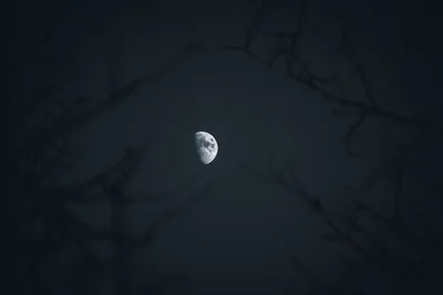 Half Moon Night Sky Space Wallpaper 4K 6000x4000 Gray, White