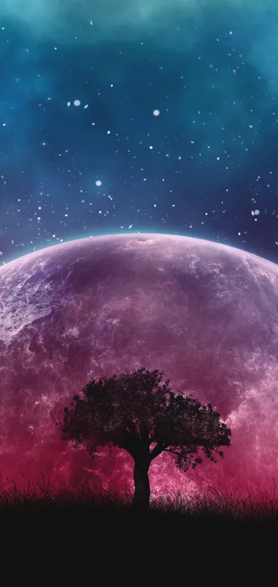 Bold Night Wallpaper Space Wallpaper 4K 1440x3040 Brown
