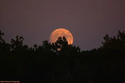 Dreamy Moon Wallpaper Space Wallpaper 4K 2250x1500 Orange, Brown