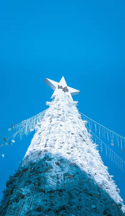 White Blue Christmas Tree Nature Wallpaper 4K 3037x5234 Yellow, Pink
