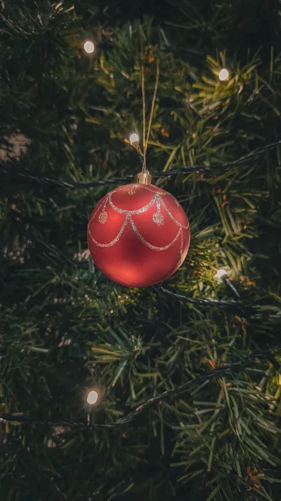 Red Christmas Ornament Nature Wallpaper 4K 2133x3790 Brown