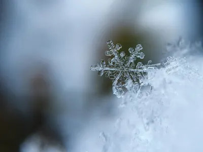 Vivid Snow Wallpaper Nature Wallpaper 4K 3000x2250 Gray