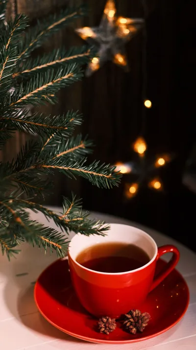 Radiant Cozy Wallpaper Nature Wallpaper 4K 4344x7728 White