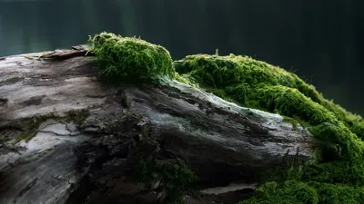 Anime Wallpaper 1918x1078 Abstract Wallpaper 4K 1918x1078 Ultrawide