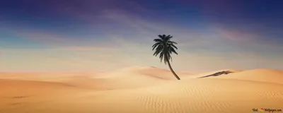 Desert Landscape Scenery Nature Wallpaper 4K 2560x1024 Gray