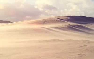 Desert Landscape Wallpaperbat Nature Wallpaper 4K 1280x804 Gray