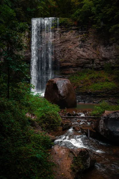 Dark Serene Wallpaper Nature Wallpaper 4K 3917x5868 Black, Gray