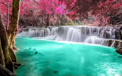 Vibrant Waterfall Wallpaper Nature Wallpaper 4K 1920x1200 Pink, Orange, Yellow