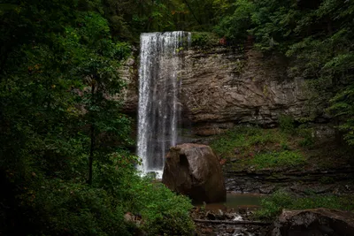 Serene Waterfall Lush Forest Nature Wallpaper 4K 6016x4016 Gray