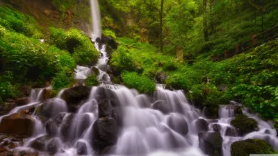 Waterfall Forest Nature Autumn Nature Wallpaper 4K 3840x2160 Gray