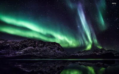 Dark Aurora Wallpaper Space Wallpaper 4K 1920x1200 Gray, Brown, White