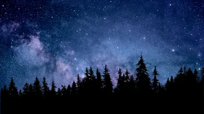 Bold Starry Wallpaper Space Wallpaper 4K 4480x2520 Brown