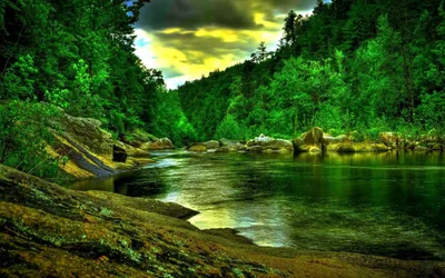 Vibrant Nature Wallpaper Nature Wallpaper 4K 1680x1050 White, Brown, Pink