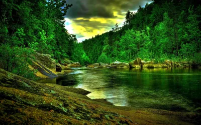Rainy Landscapes Pictures Wallpaperset Nature Wallpaper 4K 1920x1200 White, Brown