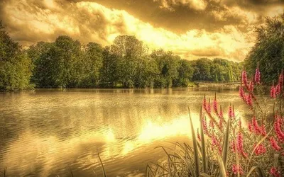 Full Abstract Nature Nature Wallpaper 4K 1920x1200 Orange, Brown