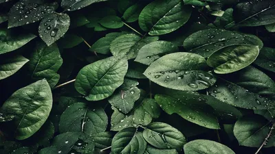 Sleek Best Wallpaper Wallpaper 4K, Abstract category