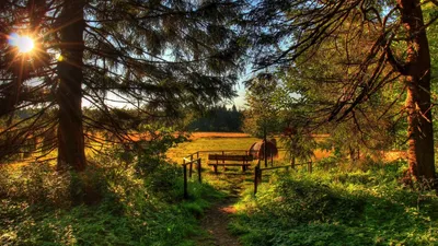 Definition Nature Wallpapersafari Nature Wallpaper 4K 1600x900 Brown, Gray