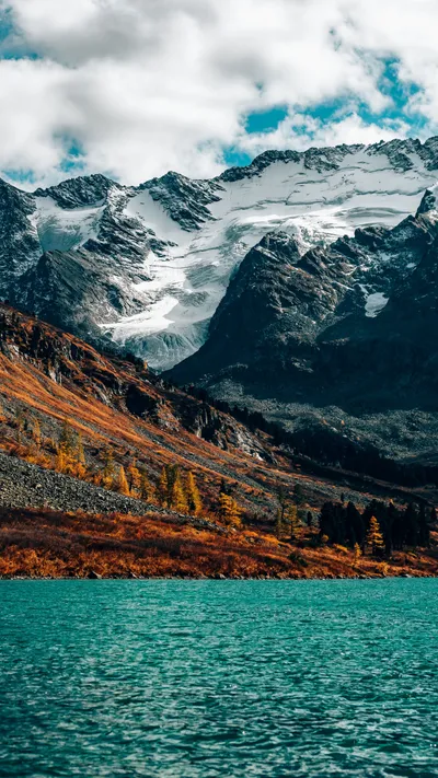 Vivid Body Wallpaper Nature Wallpaper 4K 3335x5927 Gray, Brown