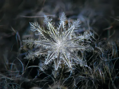 Electra Flickr Alexey Abstract Wallpaper 4K 1600x1200 Gray